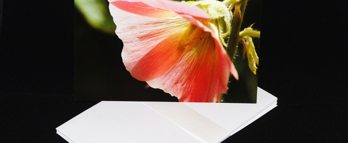 2016_1_Flower_small