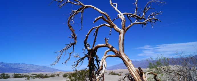 DeathValley_01_USA_CC