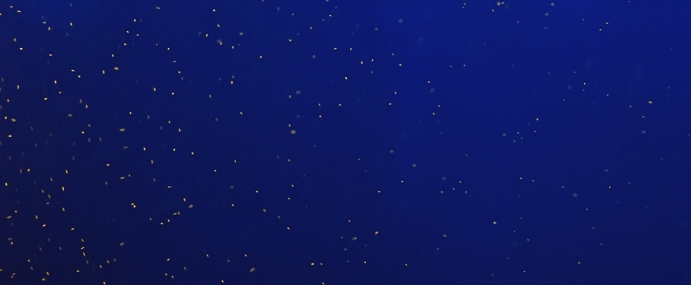 DeepSea_01_MBA_CC