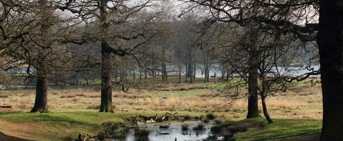 RichmondPark_02_ENG_CC